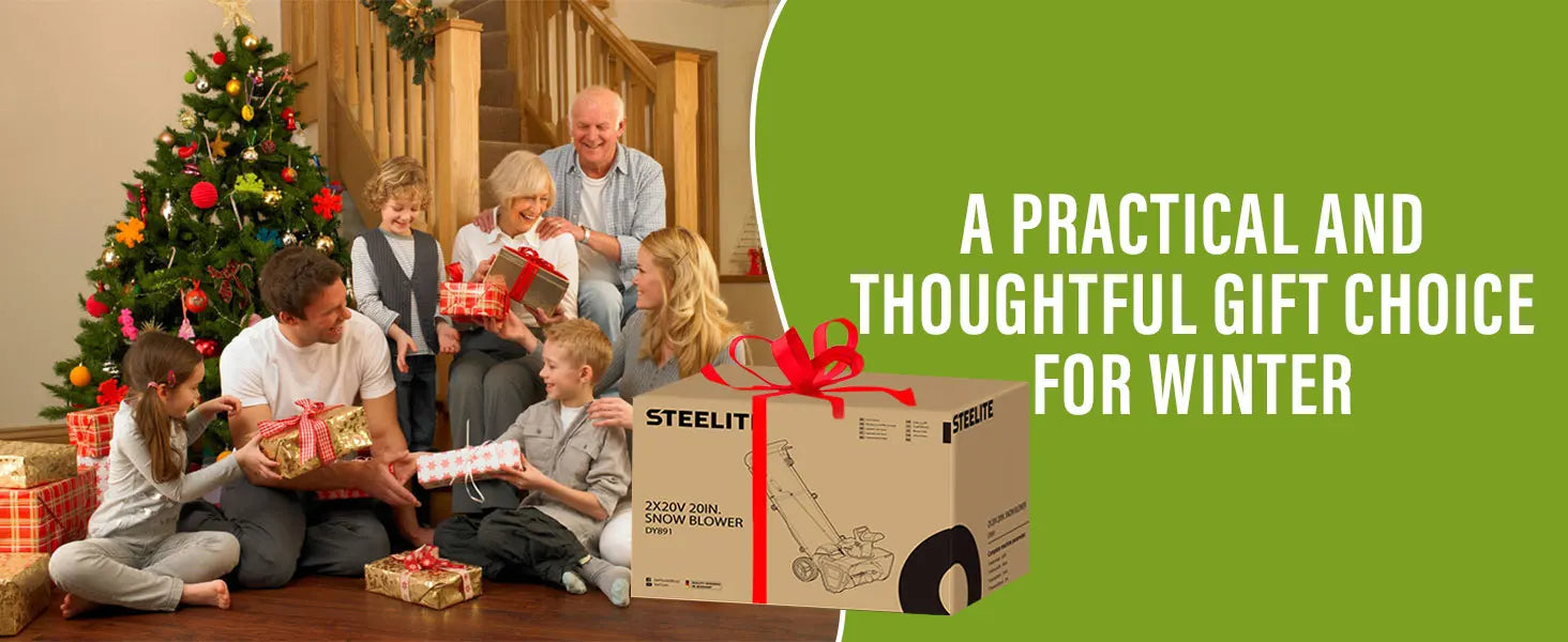 Deli Steelite 42V 20" Cordless Snow Blower – 850 Lbs/Min, Dual 4.0Ah Batteries & Charger Included – Effortless Snow Removal